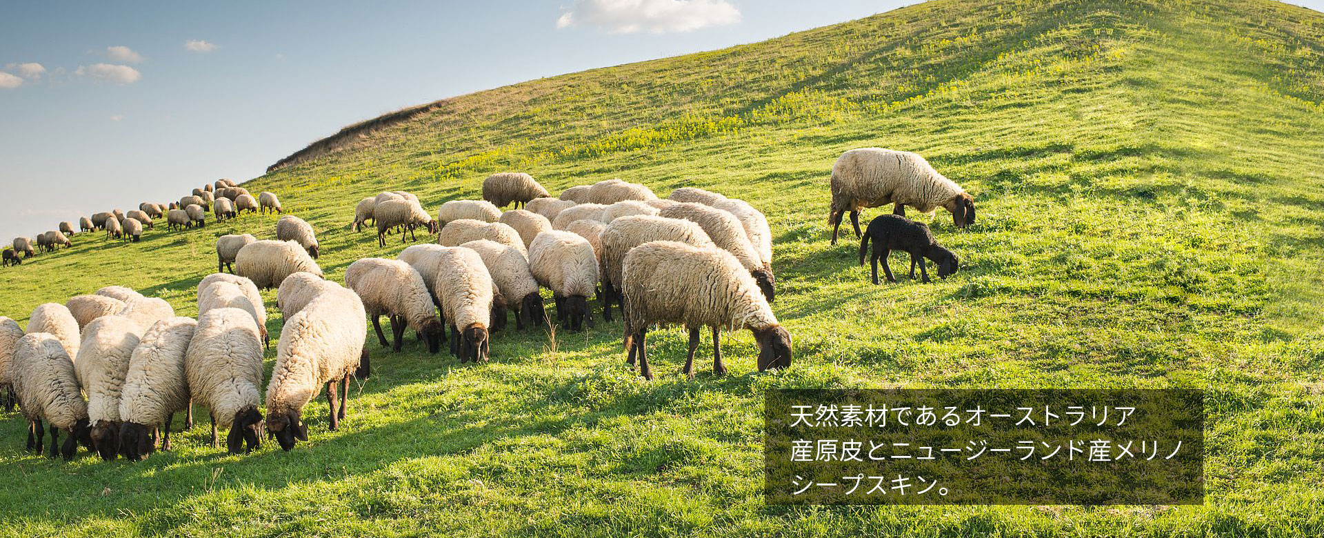 ムートン　フリース