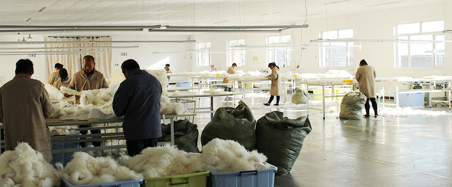 石家荘沃牧貿易有限公司