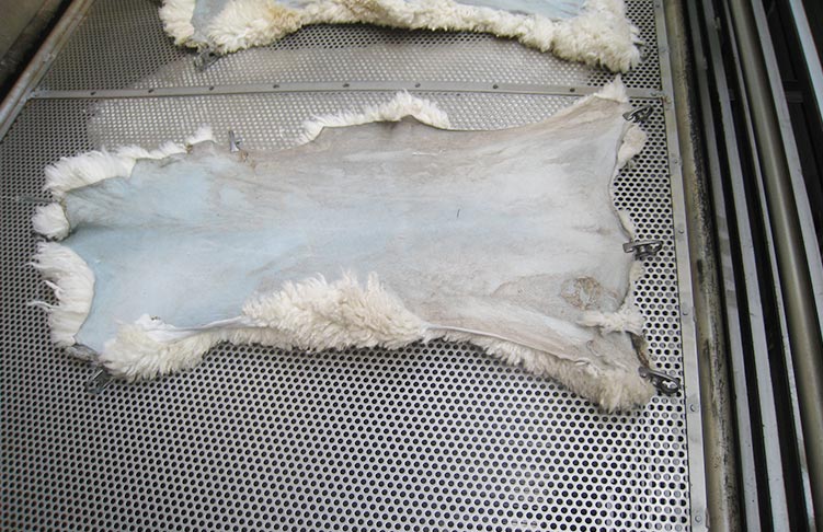 石家荘沃牧貿易有限公司