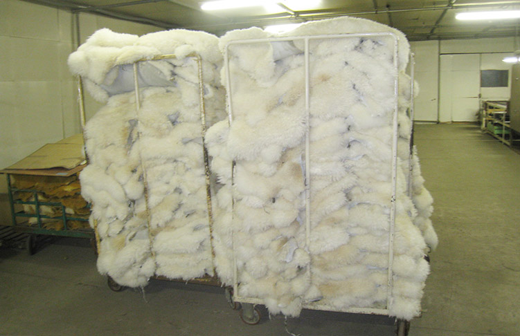 石家荘沃牧貿易有限公司