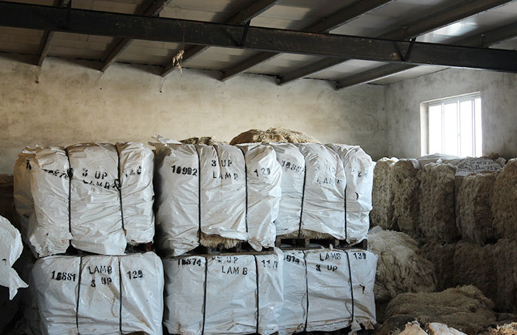 石家荘沃牧貿易有限公司