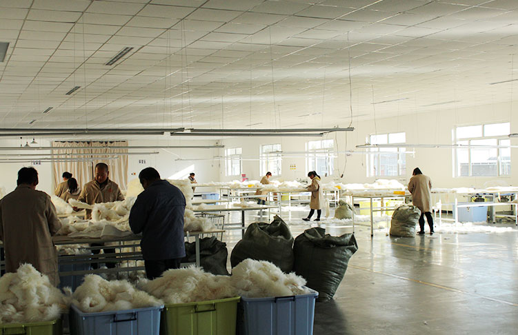 石家荘沃牧貿易有限公司